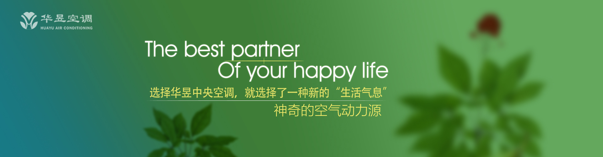 南山可移网